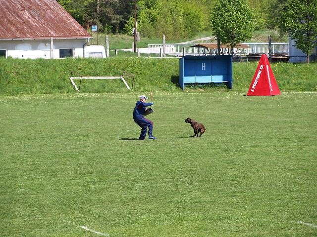 www.atibox.net * www.euroboxer.eu * www.boxergenealogia.eu